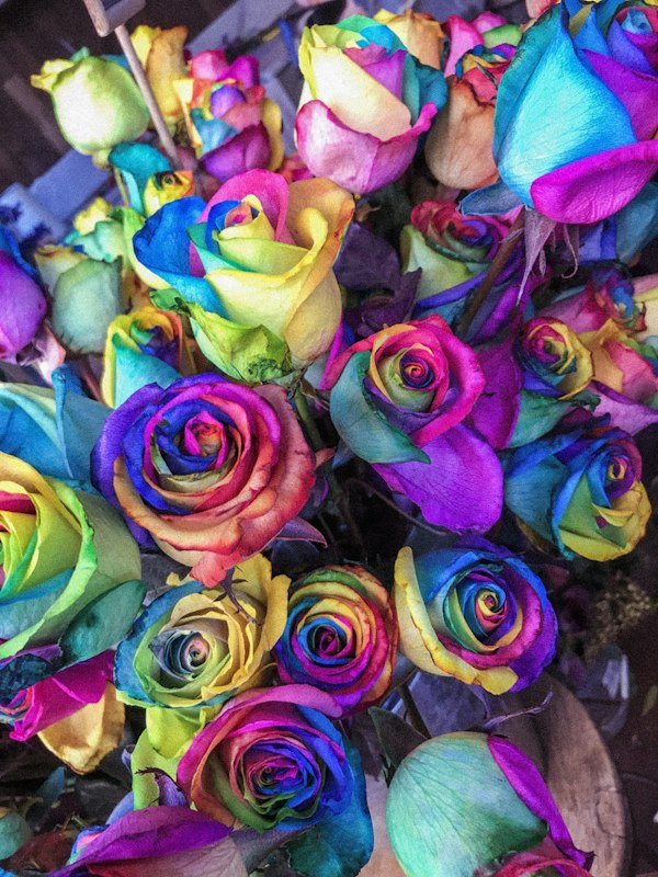 Pink bouquet closeup