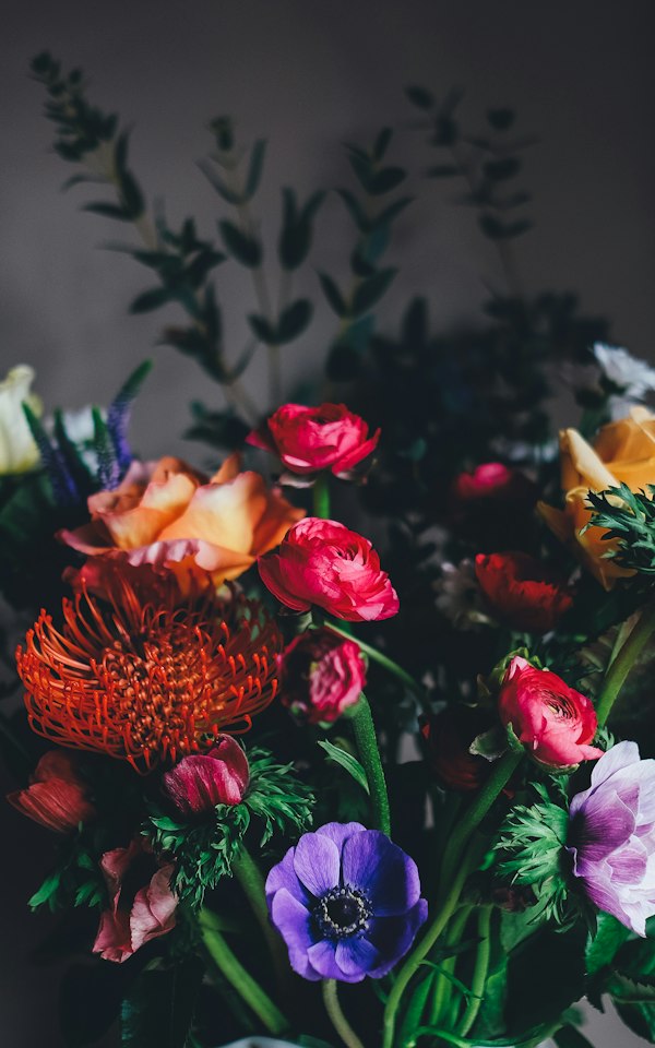 Flower shop interior